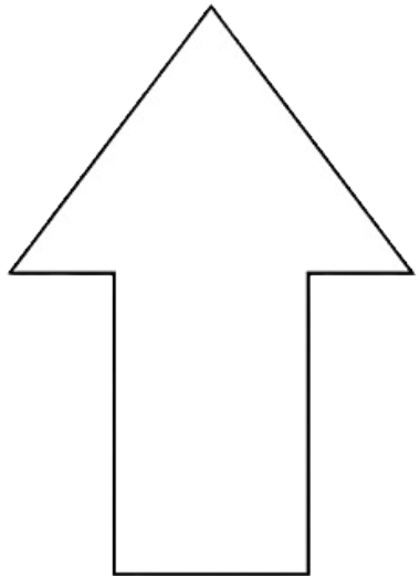 Seta
